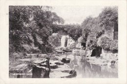 Edwardian Postcard Jesmond Dene Newcastle Smart Novels Series 1905 Jesemond - Newcastle-upon-Tyne