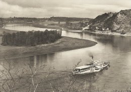 Diesbar-Seußlitz  -  Der Große Elbebogen Am "Bösen Bruder"     Germany    # 02507 - Diesbar-Seusslitz