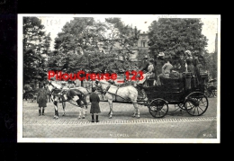 THEME TRANSPORT - ATTELAGE CALECHE AVEC CHEVEAUX - Belle Animation - Taxis & Cabs