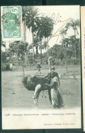 Afrique Occidentale - Soudan ( Mali ) - Dressage Difficile    - Abe 109 - Mali