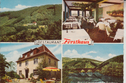 5980 WERDOHL, Restaurant "Forsthaus", 1965 - Werdohl