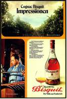 Reklame Werbeanzeige  -  Cognac Bisquit  -  Der Noble Aus Frankreich  -  Impressionen  -  Von 1972 - Alkohol