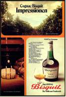 Reklame Werbeanzeige  -  Cognac Bisquit  -  Der Noble Aus Frankreich  -  Impressionen  -  Von 1972 - Alcohols