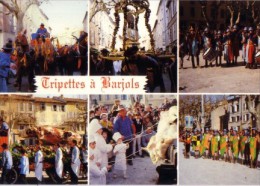 Barjols-fete Des Tripettes-bénediction -salage Du Boeuf-cpm - Barjols