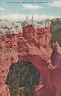 C1900 BRYCE CANYON - NATURAL BRIDGE - Bryce Canyon