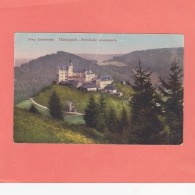 ältere AK / Burg Lauenstein - Thüringisch-Fränkische Grenzwarte / Ludwigstadt / Nicht Gelaufen / Farbig - Kronach