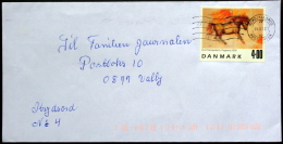 Denmark  Letter  2000 MiNr. 1261   ( Lot 2283 ) - Cartes-maximum (CM)