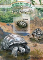 Niger. 2013 Turtles. (122b) - Tortues