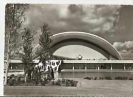 =DE AK  BERLIN TIERGARTEN - Dierentuin