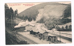 D3920     WERNIGERODE : Bahnhof Steinere Rennen - Wernigerode