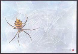 South Africa RSA - 2004 - FDC 7.72 - Spiders - Unserviced - Araignées