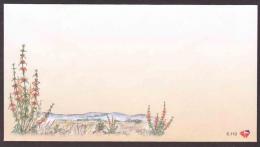 South Africa RSA - 2000 - FDC 6.119 - Medicinal Plants - Unserviced Cover - Lettres & Documents