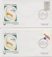 2 Verschillende Enveloppen Dag Van De Aero-filatelie 1978 - Cartas & Documentos