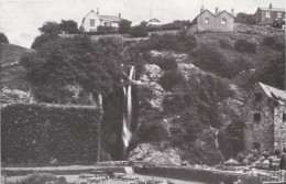 Postcard DYSERTH Waterfall & Gardens Late 1920's Denbighshire Repro - Denbighshire