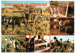 CP, VENDANGES EN BORDELAIS,  Multivues, Voyagé - Viñedos