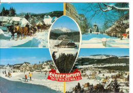 HINTERZARTEN - Hinterzarten