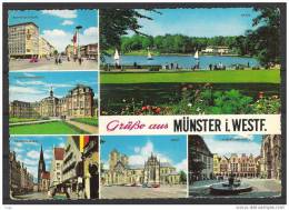 Postkaart , GruBe Aus Munster I.Westf. - Münster