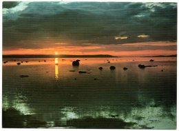 CP, NORVEGE, (NORWAY), Midnight Sun Over The Shelving Beach Of River Lakselv. Vierge - Noruega