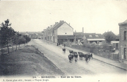 PICARDIE - 80 - SOMME - MOREUIL - Rue De La Gare Avec Troupeau De Vaches - Moreuil