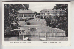 4934 BAD MEINBERG, Kursaal & Kurhaus Zum Stern, 1957 - Bad Meinberg