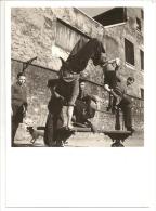 75 - Gymnastique Sauvage - Photo Robert Doisneau - Ed. Hazan Paris 1988 N° 6090 - Doisneau