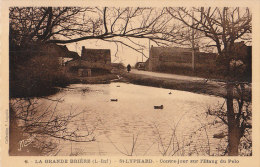 44 ST LYPHARD  - 6  - Contre - Jour Sur L' Etang Du Pelo - Saint-Lyphard