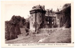 CP, 15, Environs De FONTANGES, Château De Palmont (XVe S.), Vierge - Sonstige & Ohne Zuordnung