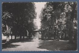 58 NIEVRE - CP GUERIGNY - LES PROMENADES - PHOTO COLLIN TANNAY - CIRCULEE EN 1959 - Guerigny