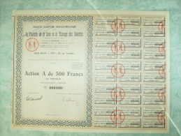 Action A De 500 Francs Au Porteur - Societe Anonyme Franco-bulgare - Filature De Soie - Textile