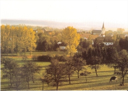 ROHRBACH LES BITCHE 57 - Vue Générale - EA 671 - C-2 - Rechicourt Le Chateau