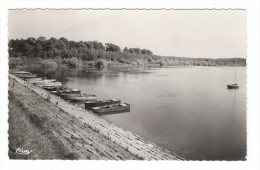 HAUTE-MARNE  /  ECLARON  /  LE  LAC  À  CHAMPAUBERT  ( Barques ) - Eclaron Braucourt Sainte Liviere