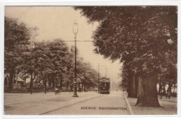 Tram Avenue Scene Southampton UK 1910c Postcard - Southampton