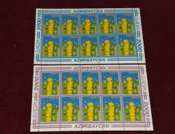 EUROPA CEPT 2000 AZERBAIJAN FOGLIETTI / SHEETS MNH - 2000