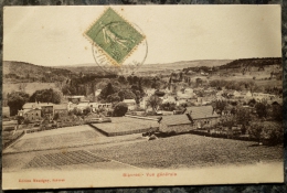 (91).BIEVRES.VUE GENERALE.CIRCULE 1920.TBE. - Bievres