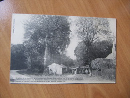 CPA Z   62 -- GUINES -- La Forêt - Clairière Du Ballon   ANIMEE - Guines