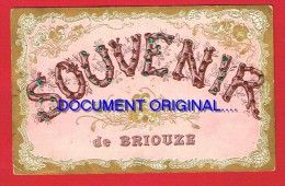 Orne - BRIOUZE - SOUVENIR De BRIOUZE - Briouze