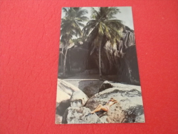 Virgin Island Virgin Gorda 1969 - Isole Vergine Britanniche