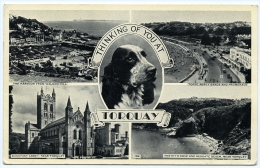 TORQUAY : THINKING OF YOU (MULTIVIEW) / ADDRESS - STROUD, WHITESHILL, UPPER KITESNEST ROAD - Torquay