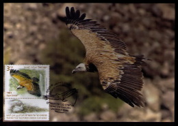 Israel 2013 Griffon Vulture MC Maximum Card (private I ) - Cartes-maximum