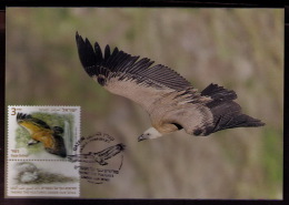 Israel 2013 Griffon Vulture MC Maximum Card (private II ) - Maximumkaarten