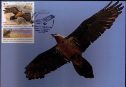 Israel 2013 Bearded Vulture MC Maximum Card (private II ) - Maximumkaarten