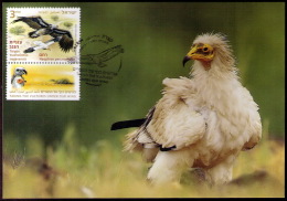 Israel 2013 Egyptian Vulture MC Maximum Card (private I ) - Cartoline Maximum