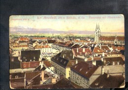 F885 Wr. Neustadt ( Germany ) Seehohe, N. Oe. Panorama Mit Pfarrkircke - Ed. Ledermann 1915 - Neustadt (Weinstr.)