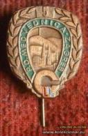 Climbing Mountaineering Alpinism , Club ''MEDVEDNICA'' , From Zagreb, Croatia. Scarce Pin Badge. - Alpinismo, Escalada