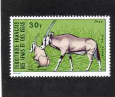 Afars Et Issas (Territoire Des) : Oryx Beïsa (Oryx Beisa), Ou Oryx D'Afrique De L'Est - Mammifère - Famille Des Bovidae - Neufs