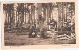 Baranowitschi Krieger Friedhof Birkenkreuze Soldaten Feldpost 16.10.1916 Gelaufen Baranawitschy - Belarus