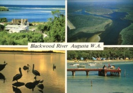 (145) Australia - WA - Blackwood River - Augusta - Altri & Non Classificati