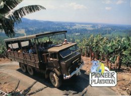 (124) Australia - NSW - Pioneer Banana Plantation - Coffs Harbour