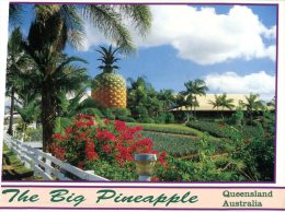 (124) Australia - QLD - Big Pineapple Gardens - Sunshine Coast