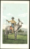 NATIVE AMERICAN INDIAN "A ROUGH RIDER" OLD VINTAGE POSTCARD - Unclassified